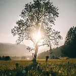 Apartma Borovc * Mojstrana