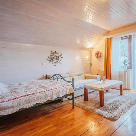 Apartmán Apartma Borovc *