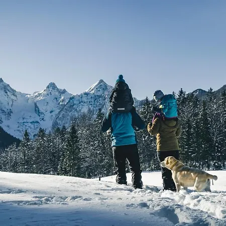 Apartma Borovc * Mojstrana