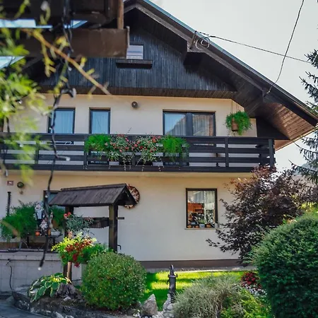 Apartma Borovc * Mojstrana