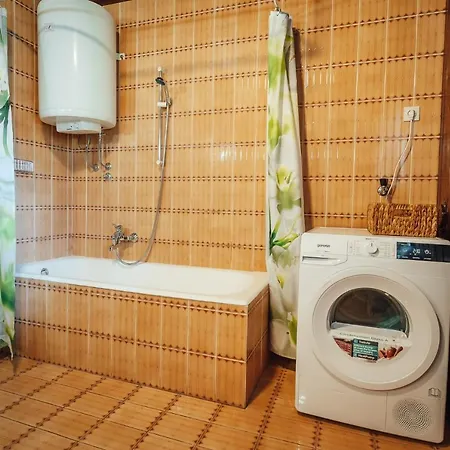 Apartma Borovc *