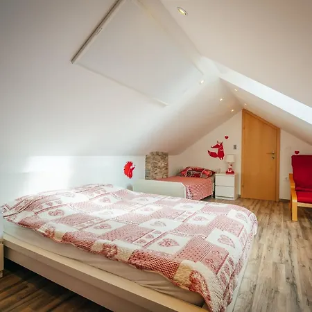 Apartma Borovc 아파트 모스트라나