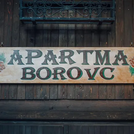 Apartma Borovc