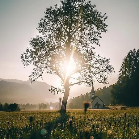 Apartma Borovc * Mojstrana