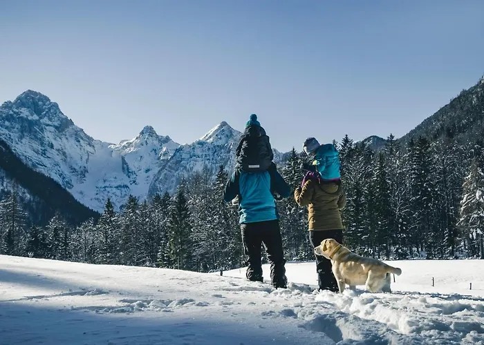Apartma Borovc * Mojstrana