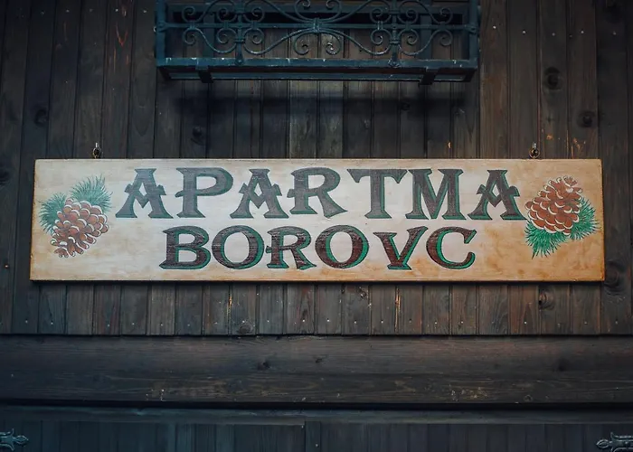 Apartma Borovc