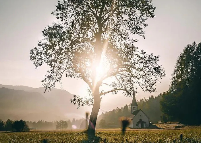 Apartma Borovc * Mojstrana